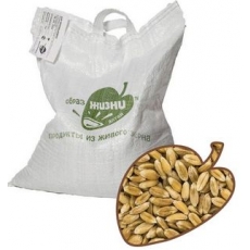 Пшеница отборная для проращивания, 5 кг.