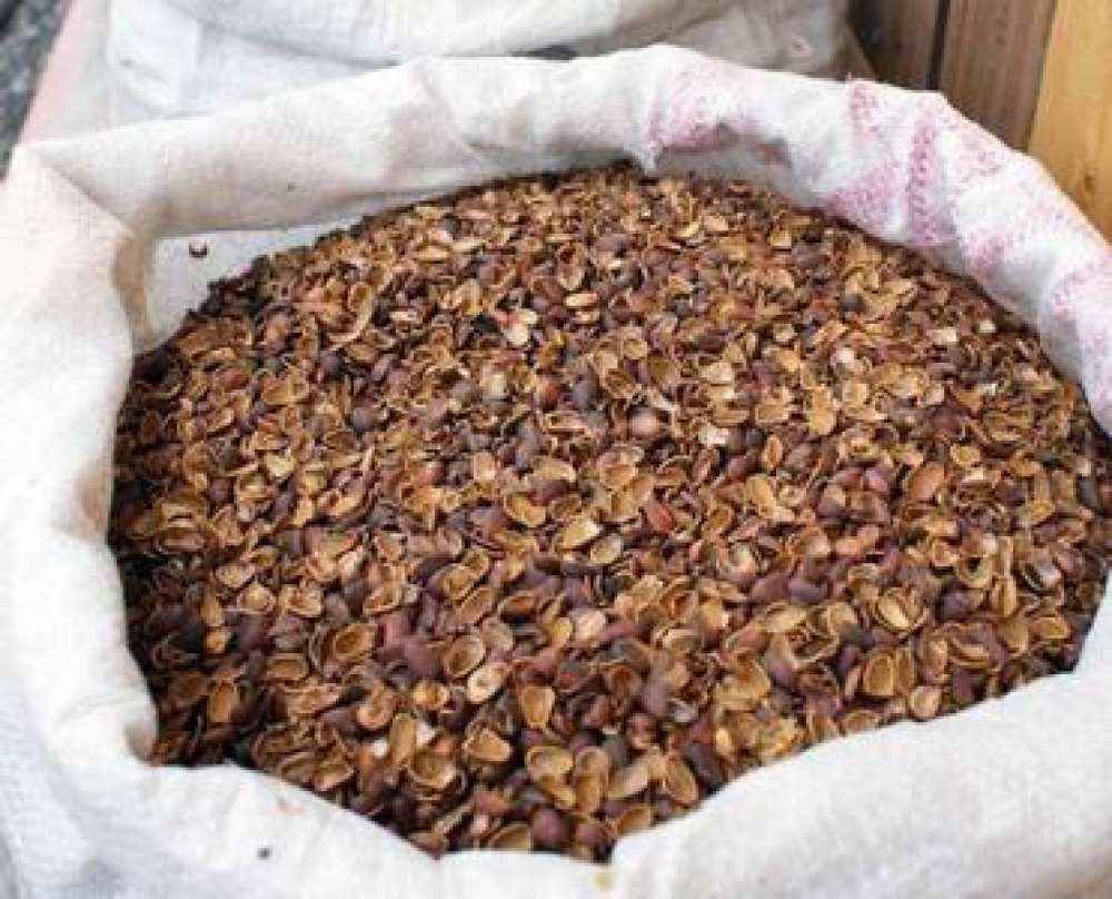 Кедровка: рецепт настойки на кедровых орехах