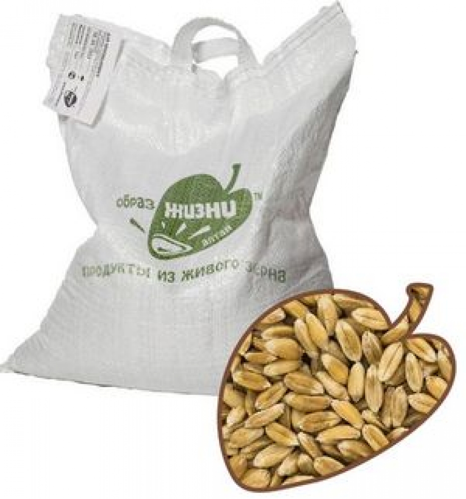 Пшеница отборная для проращивания, 5 кг.